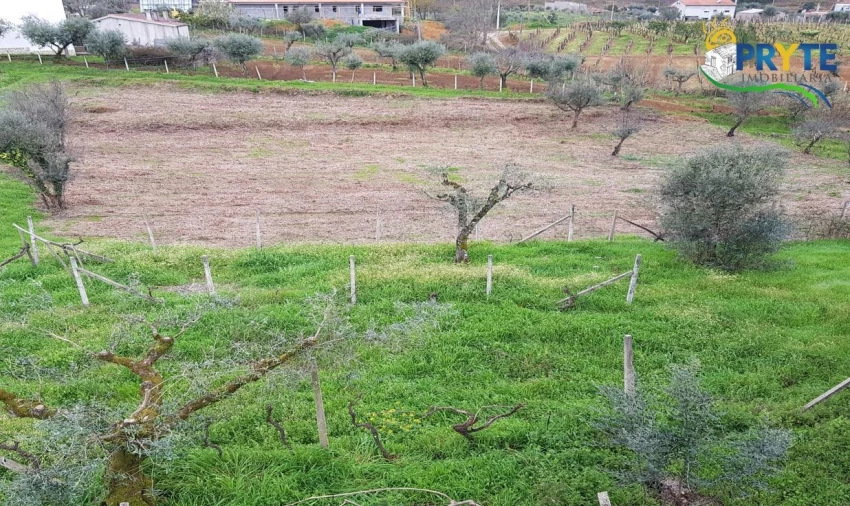 Moradia T3 para Venda em Cernache do Bonjardim, Nesperal e Palhais Foto 8