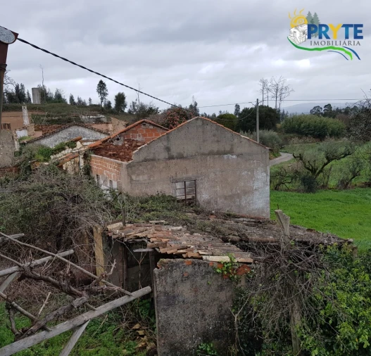 Moradia T3 para Venda em Cernache do Bonjardim, Nesperal e Palhais Foto 9