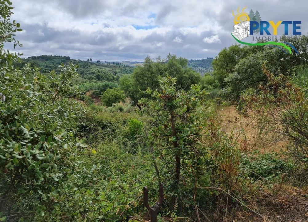 Quinta para Venda em Salgueiro do Campo Foto 6