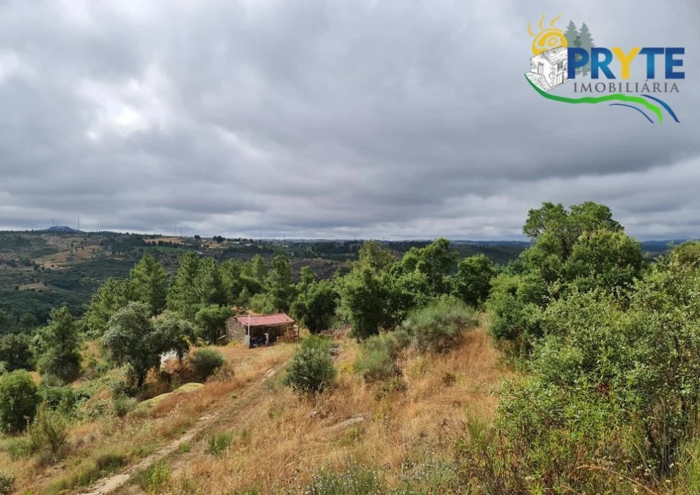 Quinta para Venda em Salgueiro do Campo Foto 11
