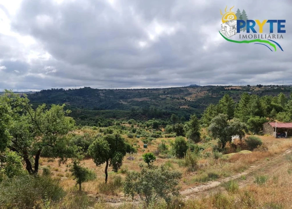 Quinta para Venda em Salgueiro do Campo Foto 12