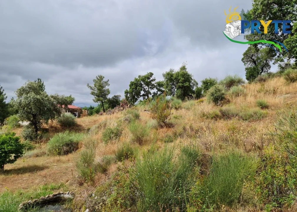 Quinta para Venda em Salgueiro do Campo Foto 17
