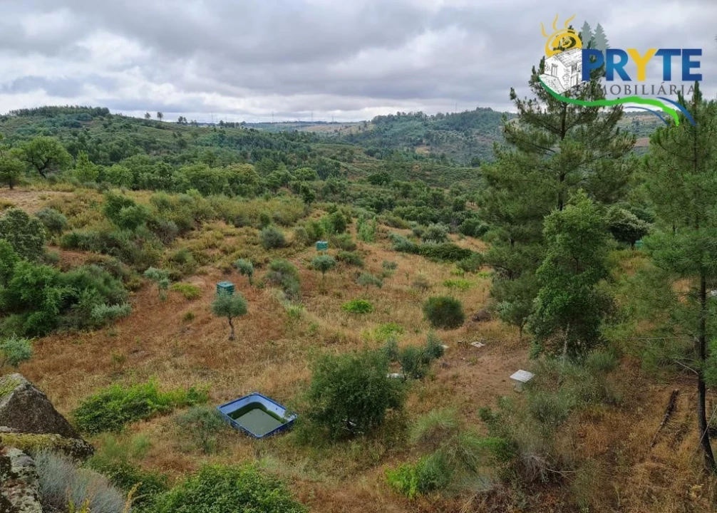 Quinta para Venda em Salgueiro do Campo Foto 26