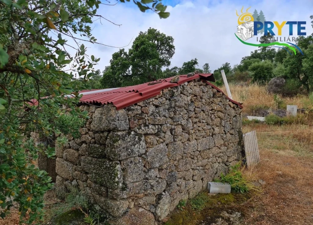 Quinta para Venda em Salgueiro do Campo Foto 30