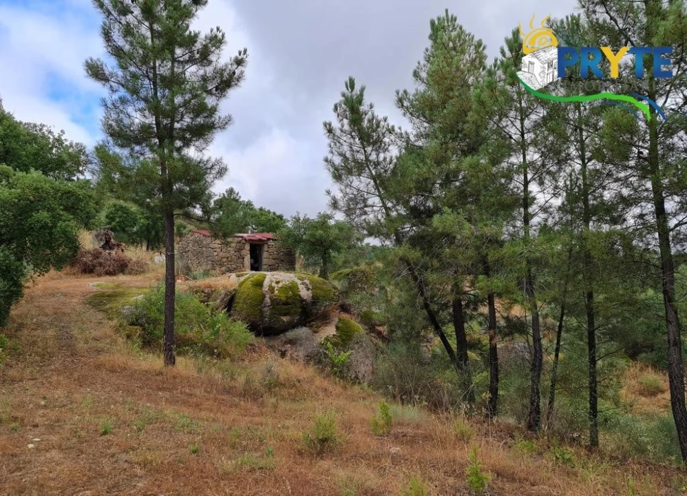 Quinta para Venda em Salgueiro do Campo Foto 33