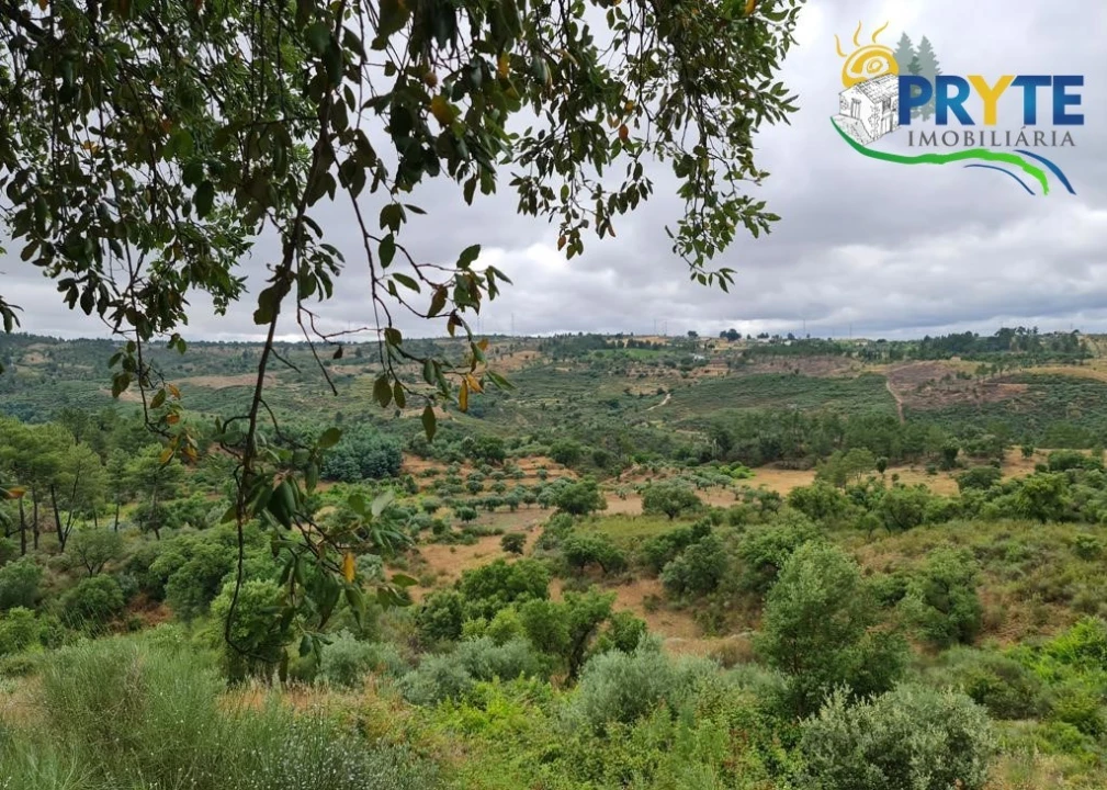 Quinta para Venda em Salgueiro do Campo Foto 43