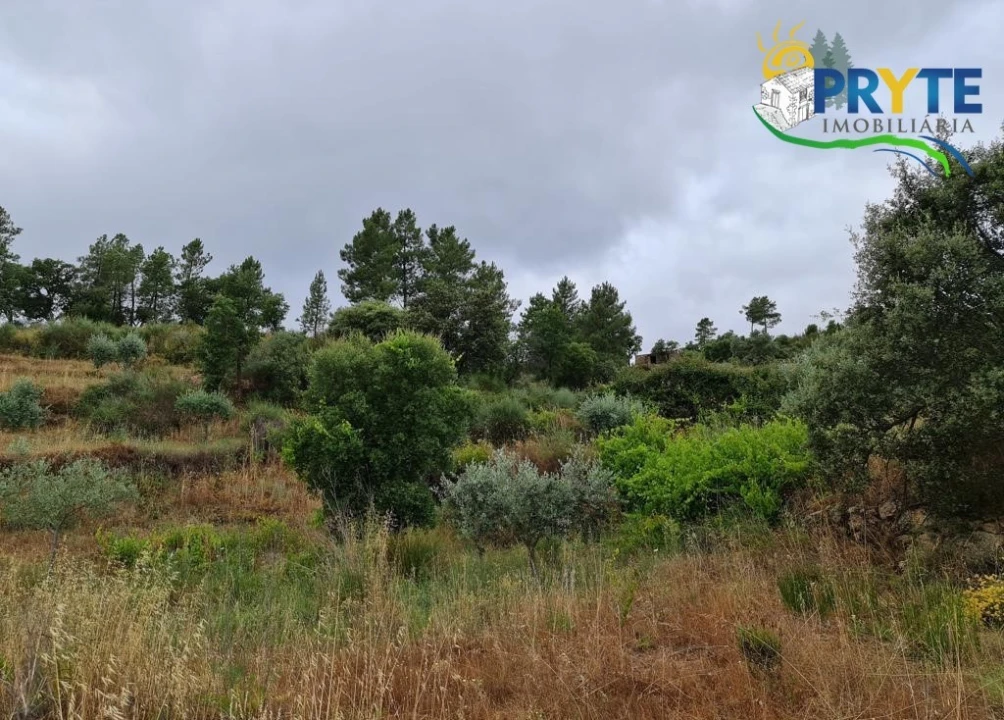 Quinta para Venda em Salgueiro do Campo Foto 50