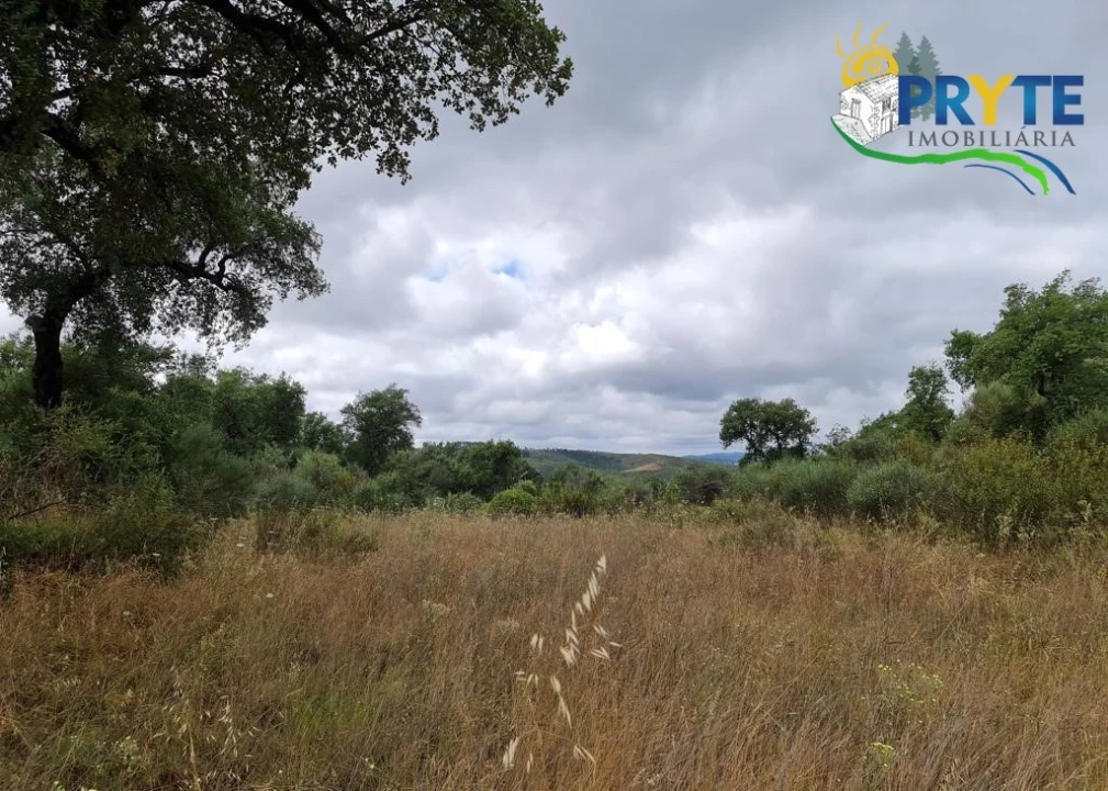 Quinta para Venda em Salgueiro do Campo Foto 52