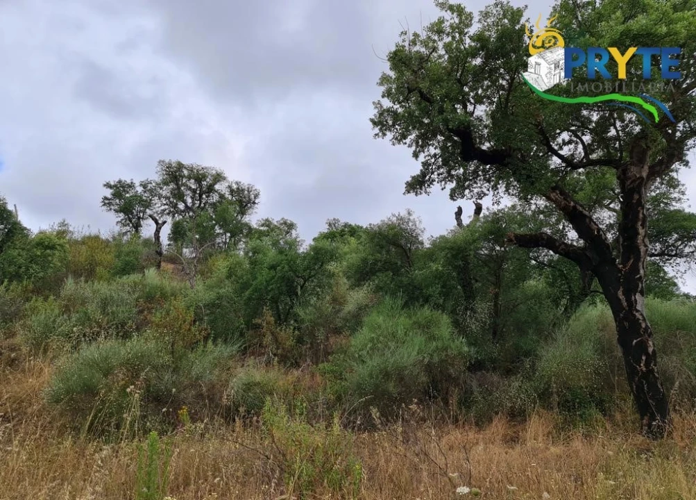 Quinta para Venda em Salgueiro do Campo Foto 57