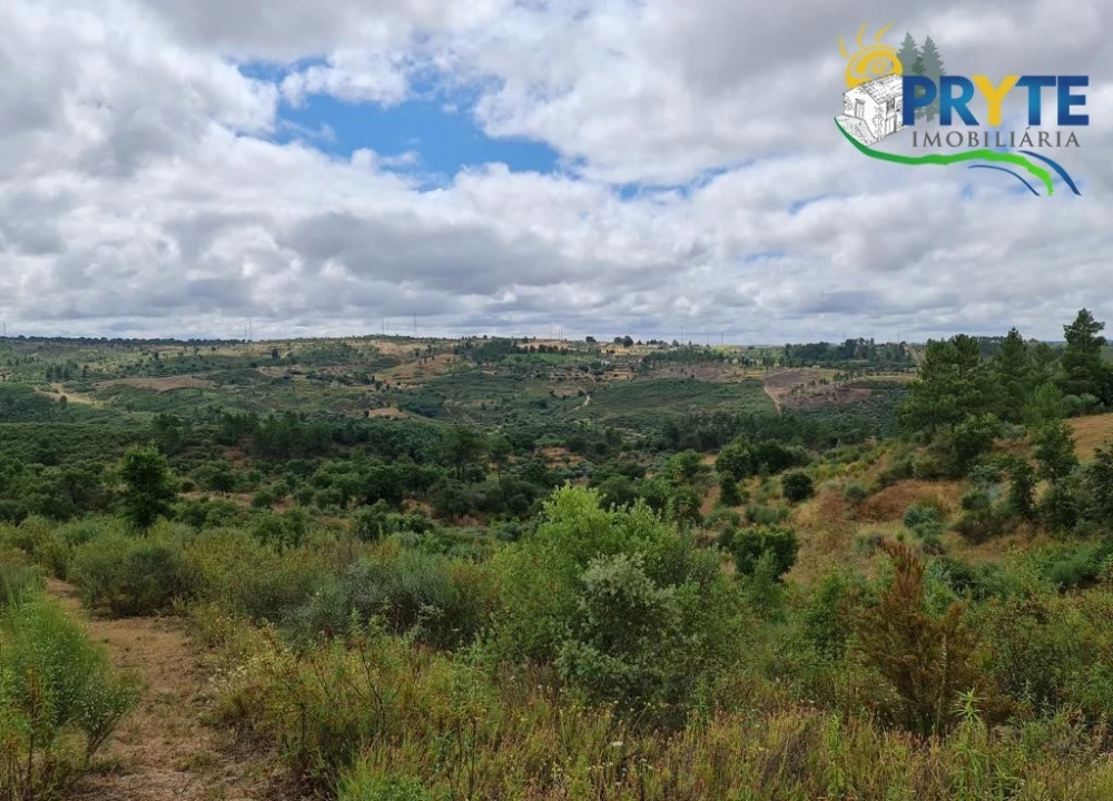 Quinta para Venda em Salgueiro do Campo Foto 61