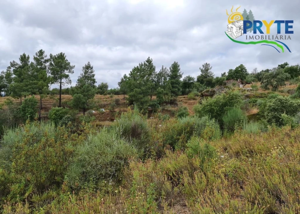 Quinta para Venda em Salgueiro do Campo Foto 63