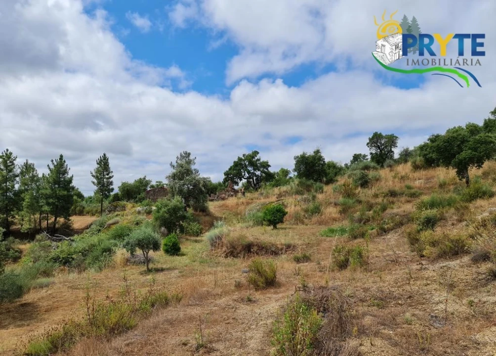 Quinta para Venda em Salgueiro do Campo Foto 69