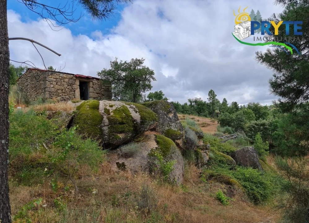 Quinta para Venda em Salgueiro do Campo Foto 73