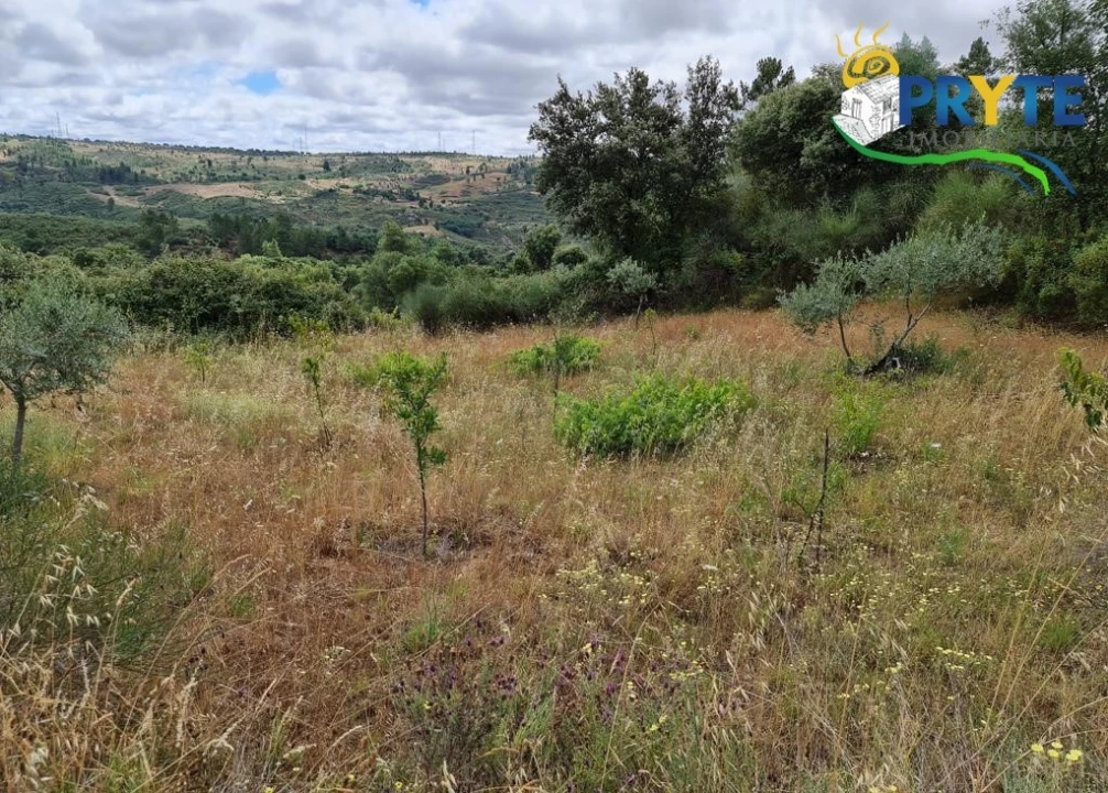 Quinta para Venda em Salgueiro do Campo Foto 77