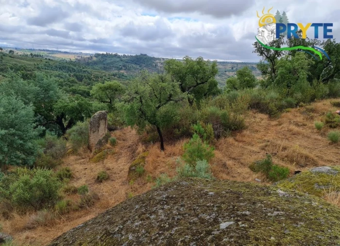 Quinta para Venda em Salgueiro do Campo Foto 2
