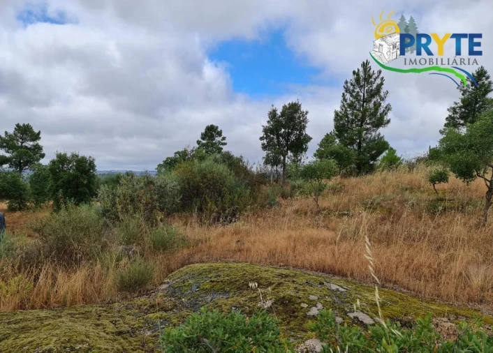 Quinta para Venda em Salgueiro do Campo Foto 3