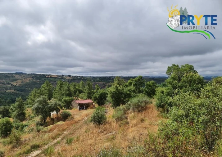 Quinta para Venda em Salgueiro do Campo Foto 11