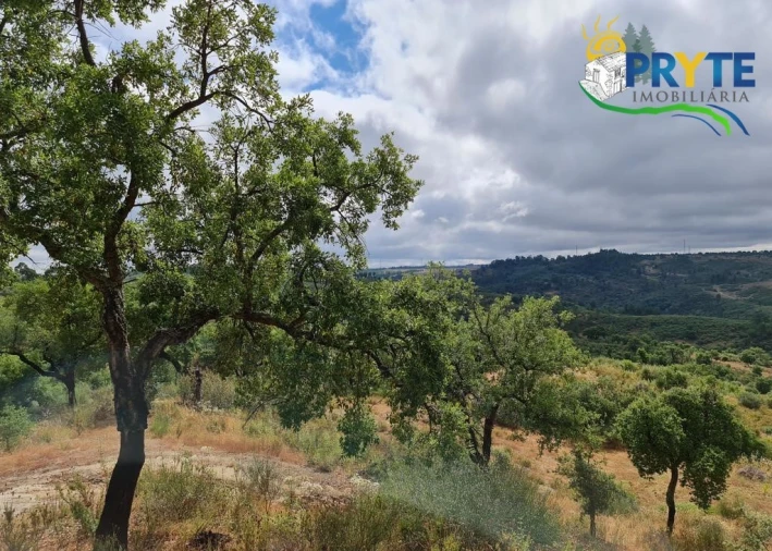 Quinta para Venda em Salgueiro do Campo Foto 13