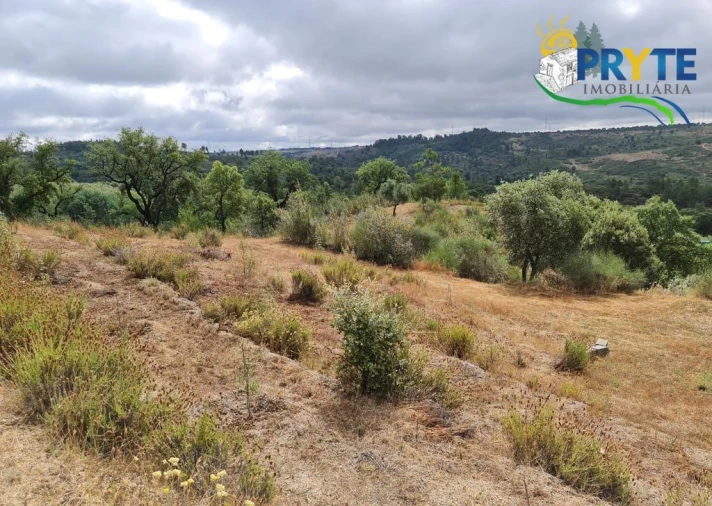 Quinta para Venda em Salgueiro do Campo Foto 18