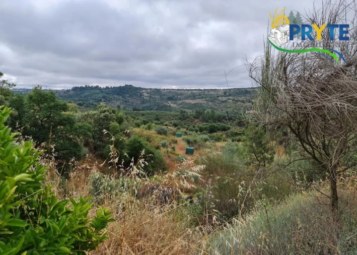 Quinta para Venda em Salgueiro do Campo Foto 21