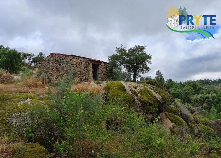 Quinta para Venda em Salgueiro do Campo Foto 1