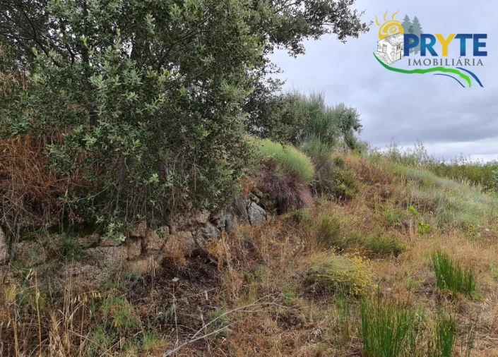 Quinta para Venda em Salgueiro do Campo Foto 47