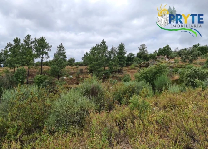 Quinta para Venda em Salgueiro do Campo Foto 63