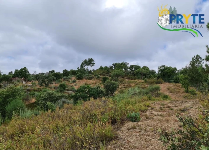 Quinta para Venda em Salgueiro do Campo Foto 64