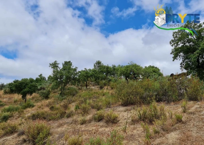 Quinta para Venda em Salgueiro do Campo Foto 68