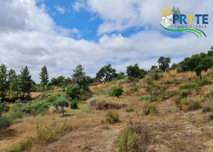 Quinta para Venda em Salgueiro do Campo Foto 69