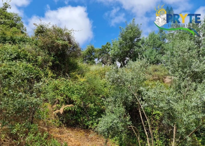 Quinta para Venda em Salgueiro do Campo Foto 72