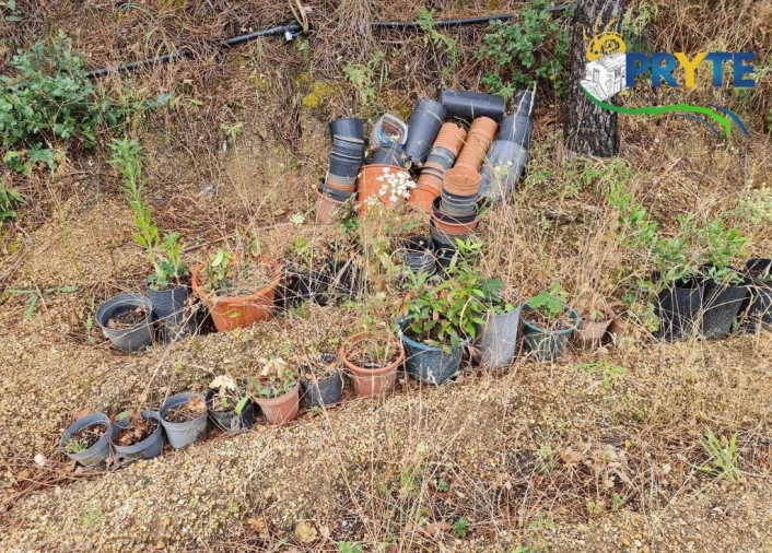 Quinta para Venda em Salgueiro do Campo Foto 74