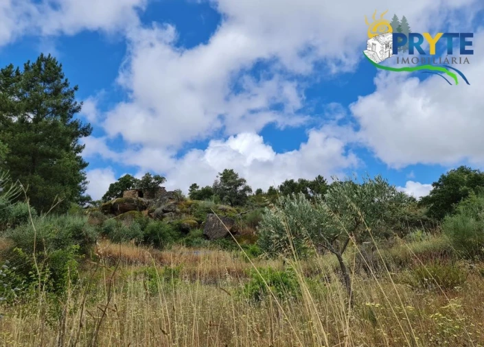 Quinta para Venda em Salgueiro do Campo Foto 82