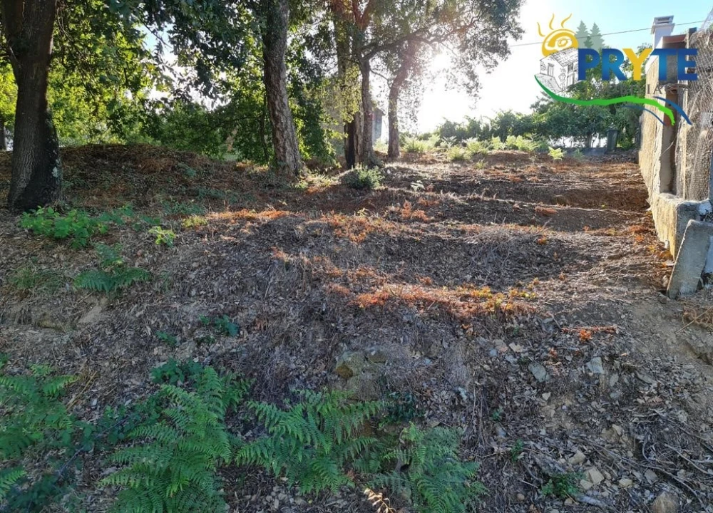 Terreno para Venda em Castelo Foto 18