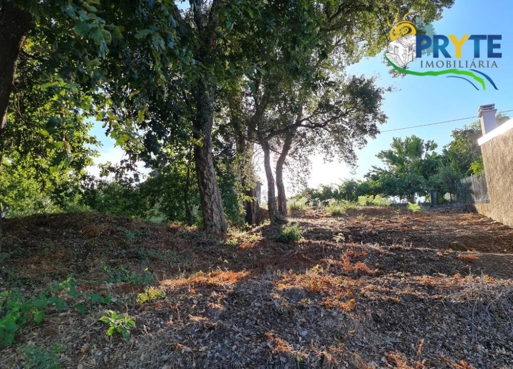 Terreno para Venda em Castelo Foto 20