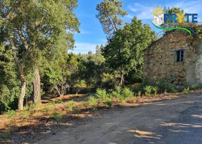Terreno para Venda em Castelo Foto 6