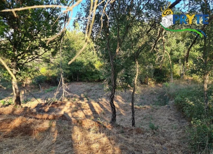 Terreno para Venda em Castelo Foto 11