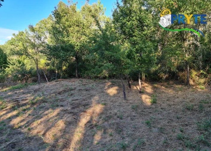 Terreno para Venda em Castelo Foto 12
