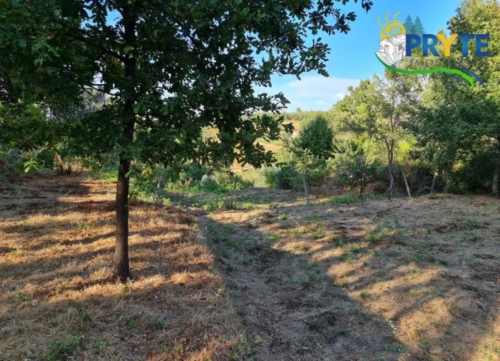 Terreno para Venda em Castelo Foto 13