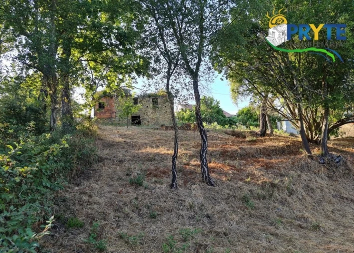 Terreno para Venda em Castelo Foto 15