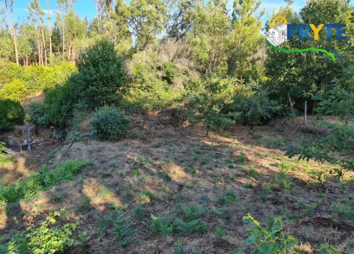 Terreno para Venda em Castelo Foto 16