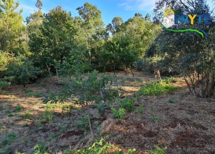 Terreno para Venda em Castelo Foto 17