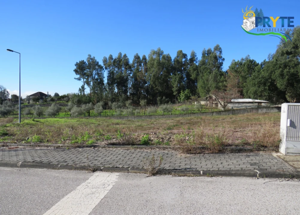 Terreno para Venda em Cernache do Bonjardim, Nesperal e Palhais Foto 1