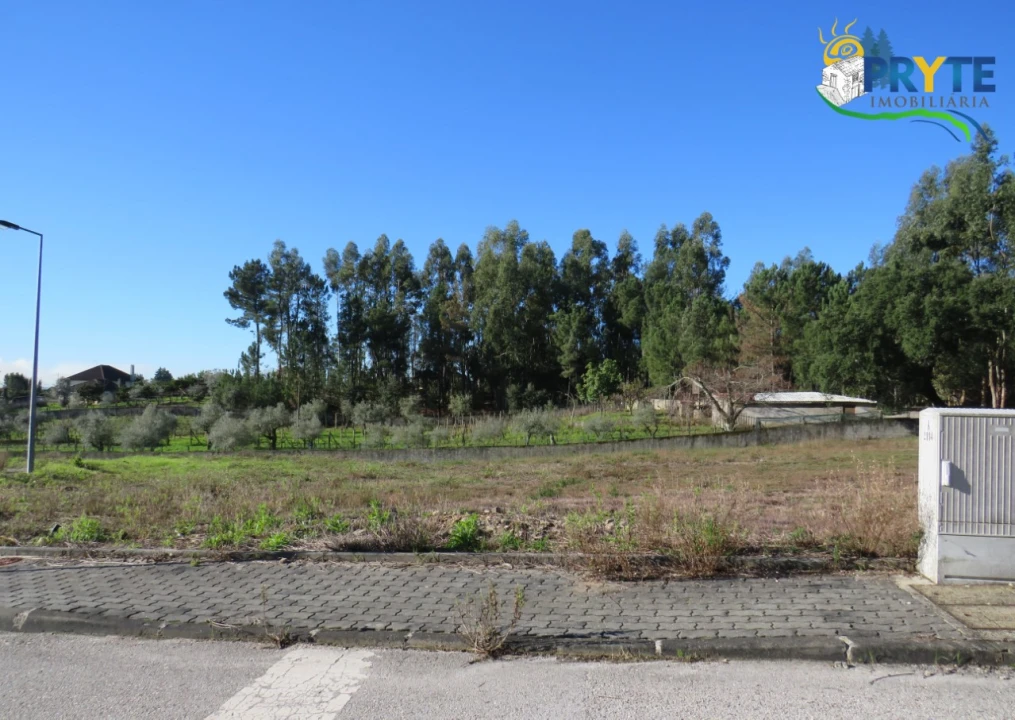 Terreno para Venda em Cernache do Bonjardim, Nesperal e Palhais Foto 2