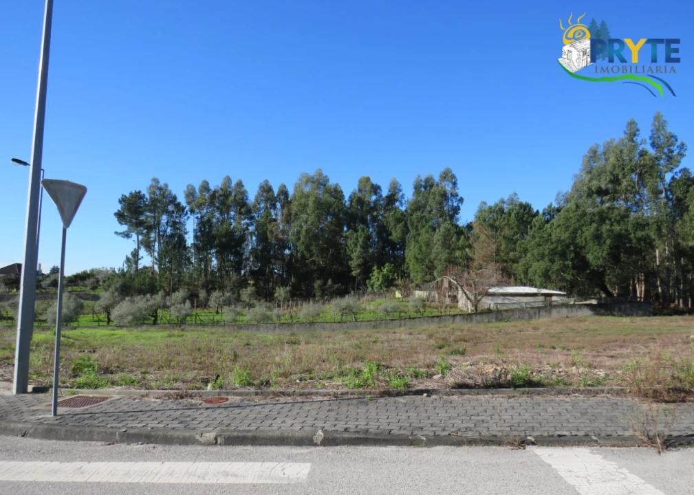 Terreno para Venda em Cernache do Bonjardim, Nesperal e Palhais Foto 3