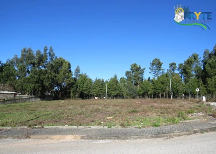 Terreno para Venda em Cernache do Bonjardim, Nesperal e Palhais Foto 4