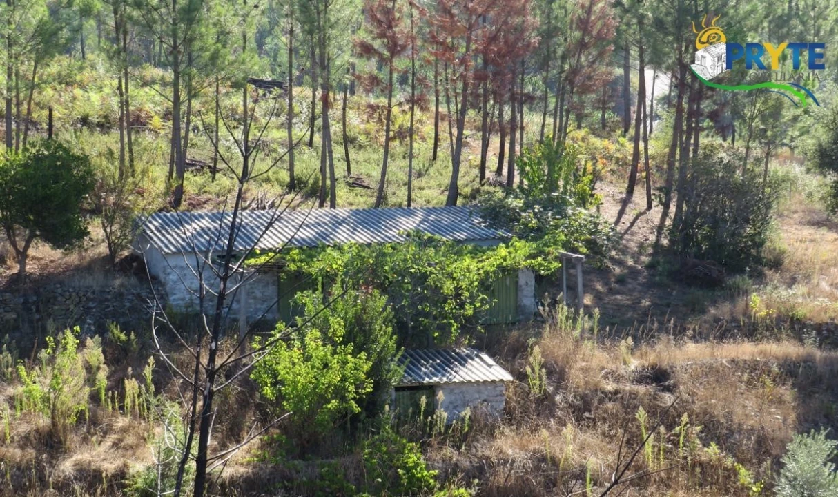 Terreno para Venda em Varzea dos Cavaleiros Foto 3