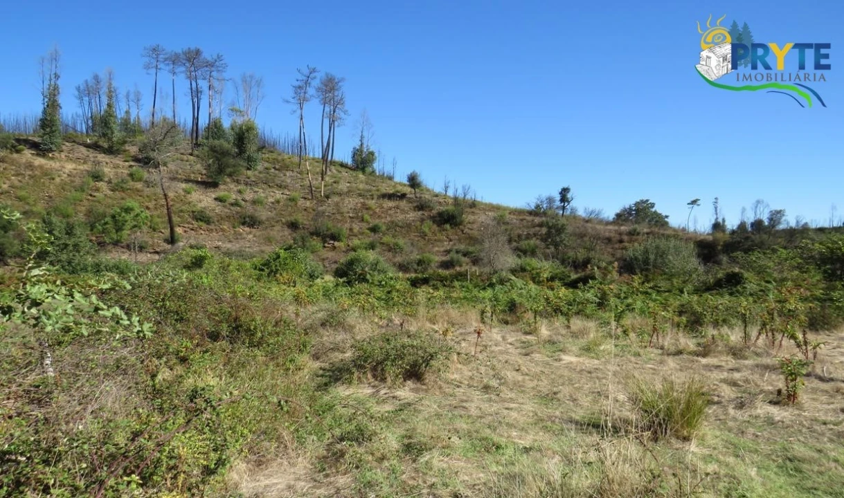 Terreno para Venda em Varzea dos Cavaleiros Foto 7