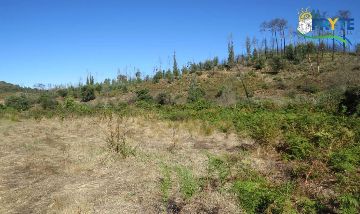 Terreno para Venda em Varzea dos Cavaleiros Foto 2