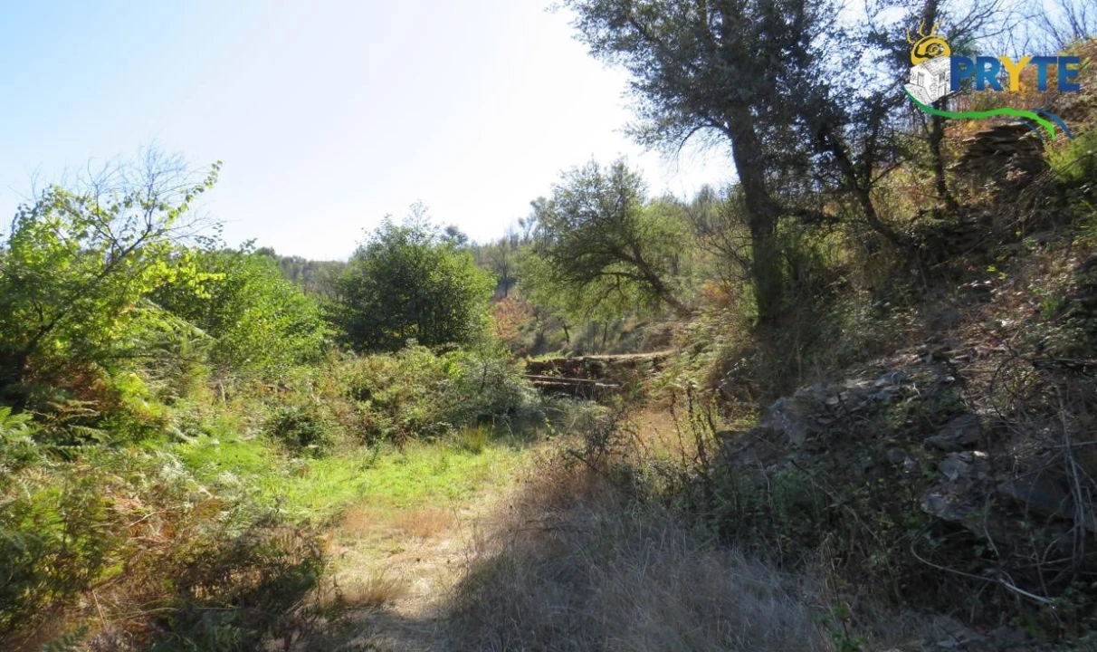 Terreno para Venda em Varzea dos Cavaleiros Foto 9